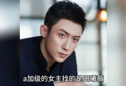 吃瓜娱乐圈八卦小说,瓜田里的秘密与真相